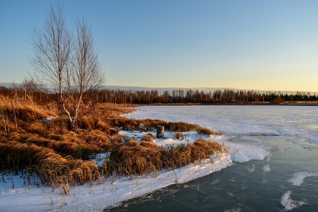 The first ice on the sun at sunset