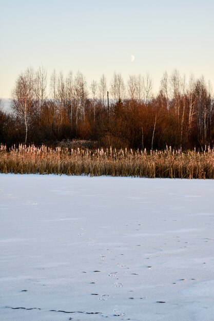 The first ice on the sun at sunset