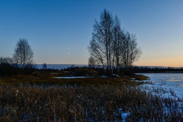 the first ice on the sun at sunset