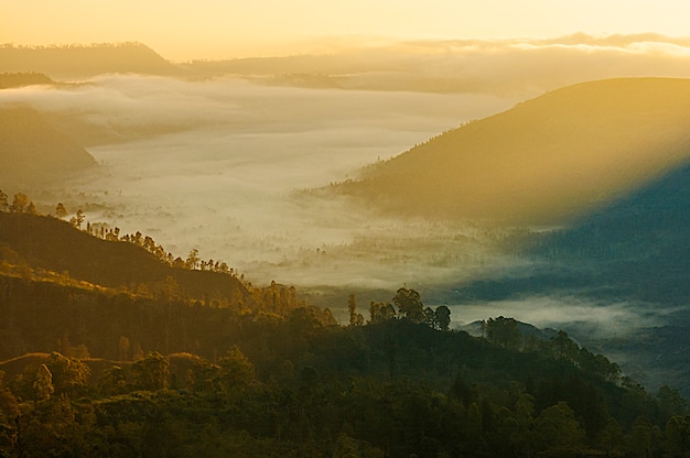 Foto prima luce