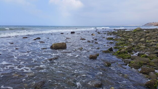 石の風景と海岸の最初のライン