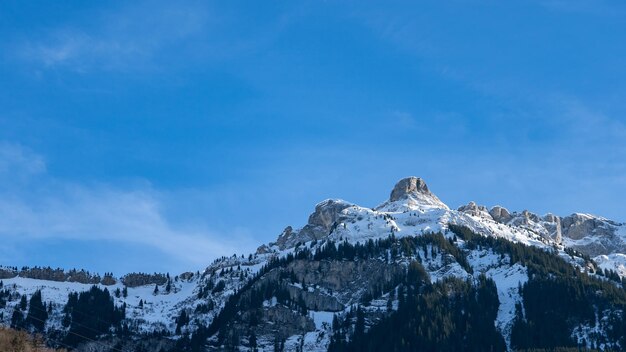 First mountain in grindelwald with alpine views switzerland