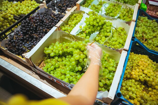 First person point of view man choosing grapes