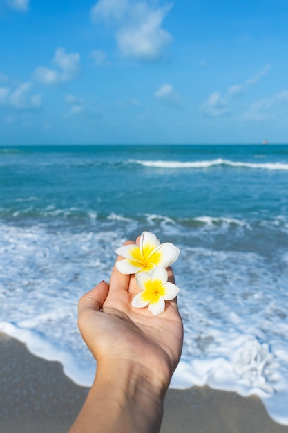 First-person view, the girl holds a frangipani flower in her hand against the sea. Calm and relaxation by the sea concept