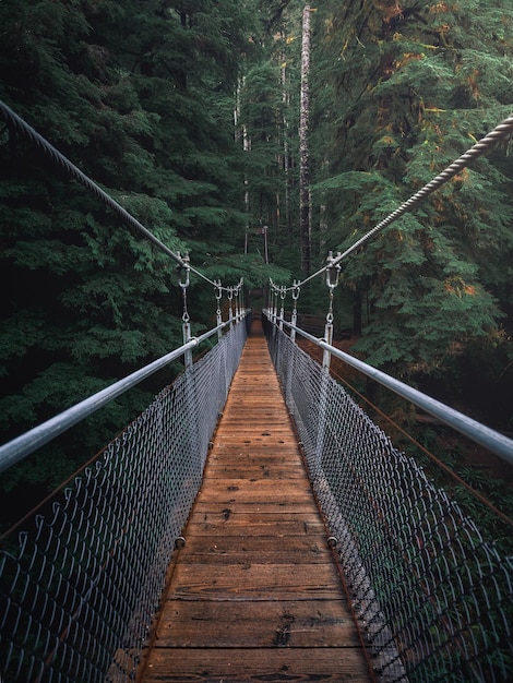 First Perspective Photography of Hanging Bridge