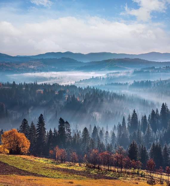 First rays of sun in Carpathians