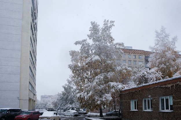 First snow on the autumn trees branches and leaves of the streets of the city
