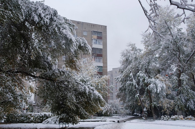 First snow on the autumn trees branches and leaves of the streets of the city