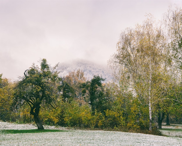 La prima neve è caduta nel parco autunnale al mattino presto