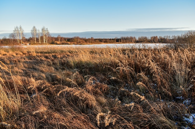 First snow in the field at sunset