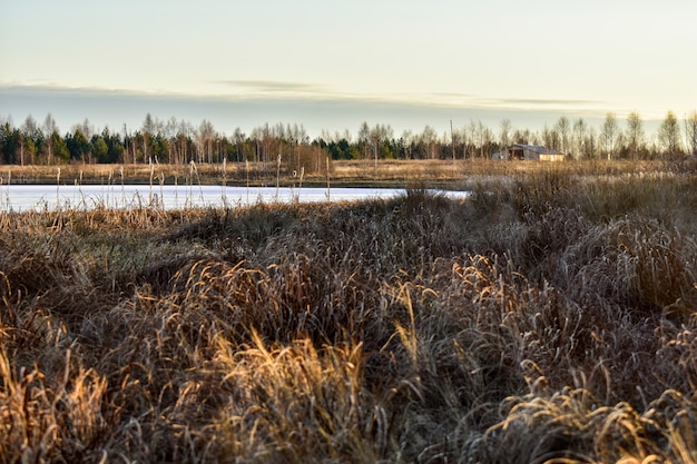 First snow in the field at sunset