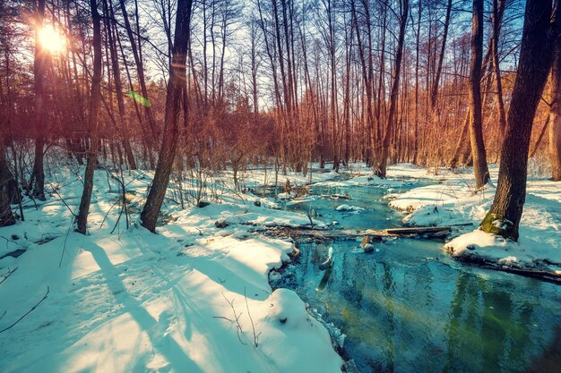 Photo first snow in the forest brook flows in the forest