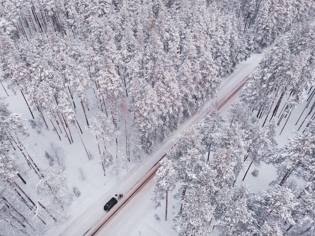 写真 小ぎれいなな木の森の最初の雪降雪後の森での運転空中ドローンビュー雪に覆われた林道背景としての松の木空からの冬の風景自然林の背景