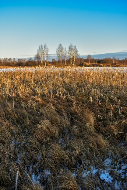 Фото Первый снег в поле на закате