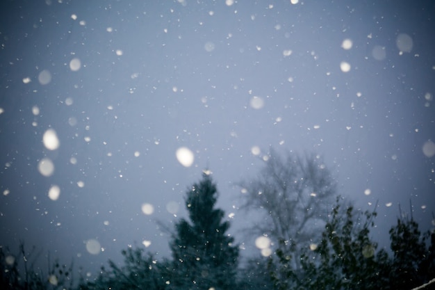 最初の雪の嵐