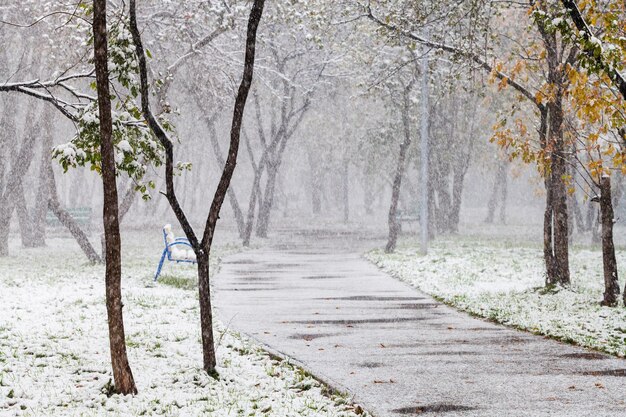 Foto prima nevicata nel parco cittadino in autunno