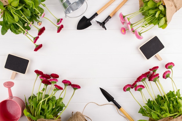 The first spring colorful flowers ready for planting. Gardening Frame., top view