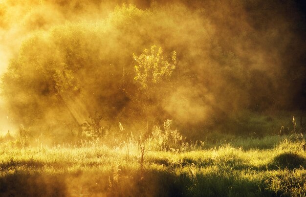 The first sunrays on the river in a foggy dawn