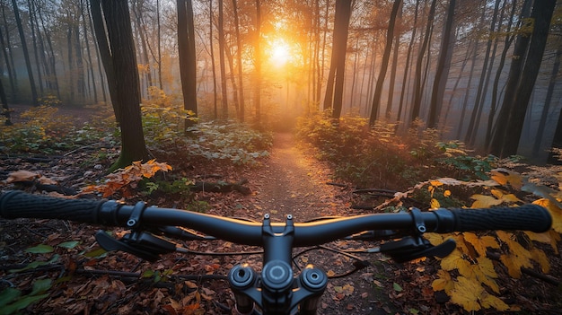 firstperson view of handlebar of a bicycle biking in extreme sports race on sunny forest in summer