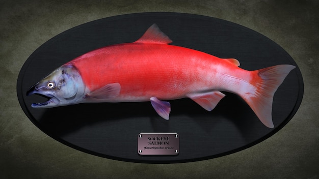 Fish. 3d illustration