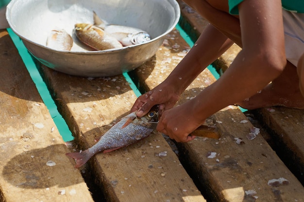 Мясник рыбы на пирсе с морской водой на заднем плане