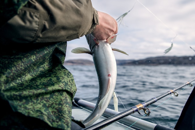 漁師の手で魚を捕まえる