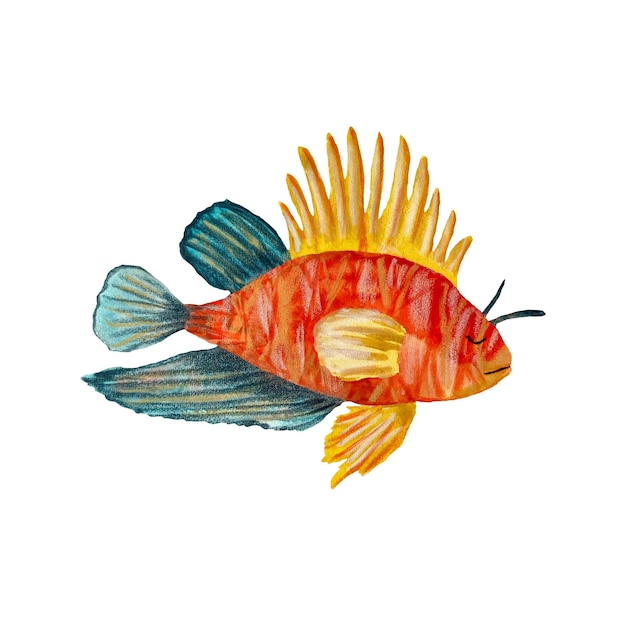 Fish colorful ocean sea life sketch. A watercolor isolated illustration. Hand drawn. On white back.