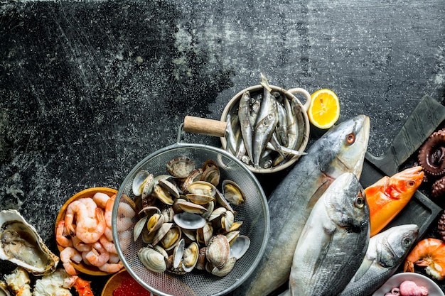 Fish on a cutting Board with oysters and shrimp