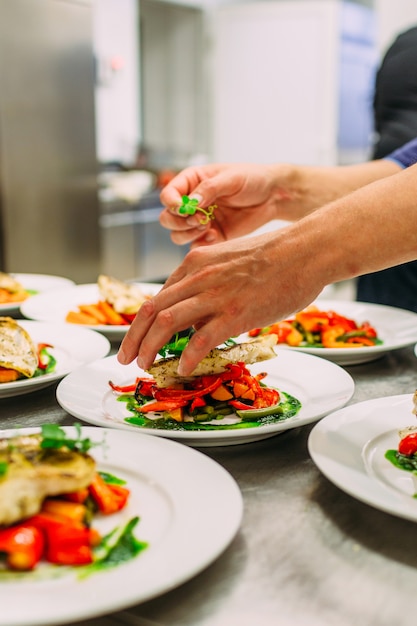 Fish dish with vegetables for catering. Lots of plates.