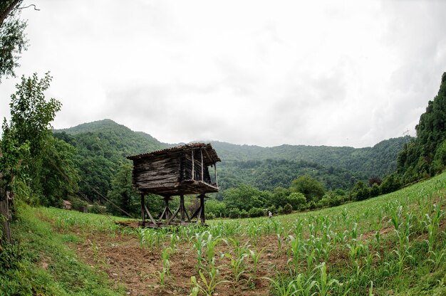 Fish-eye landschap van het houten huis op speciale steunen in het midden van het veld