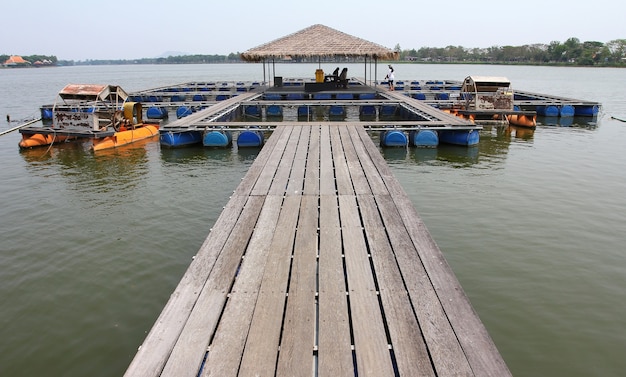 Fish farm located in thai country