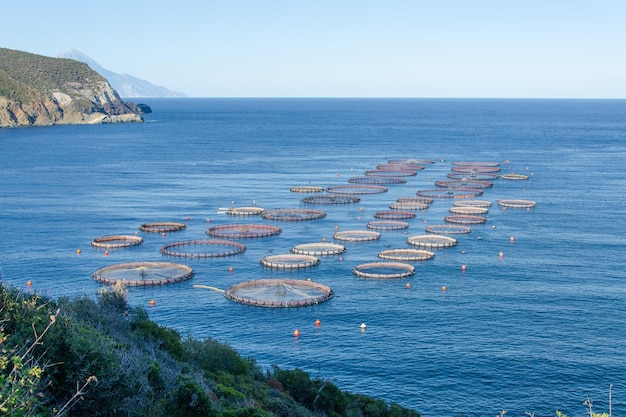 Photo fish farm in the mediterranean sea