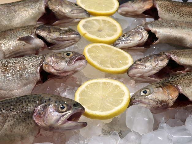 Fish on ice with lemons on the bottom