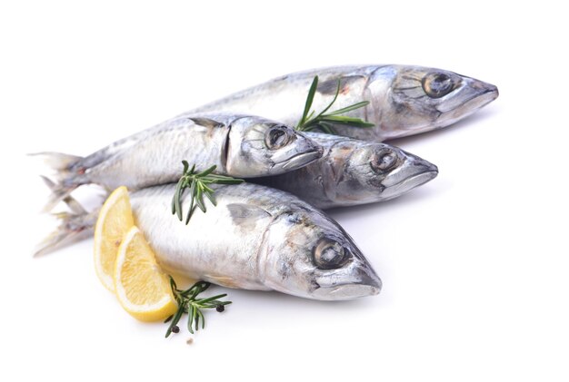 Fish mackerel on a white background