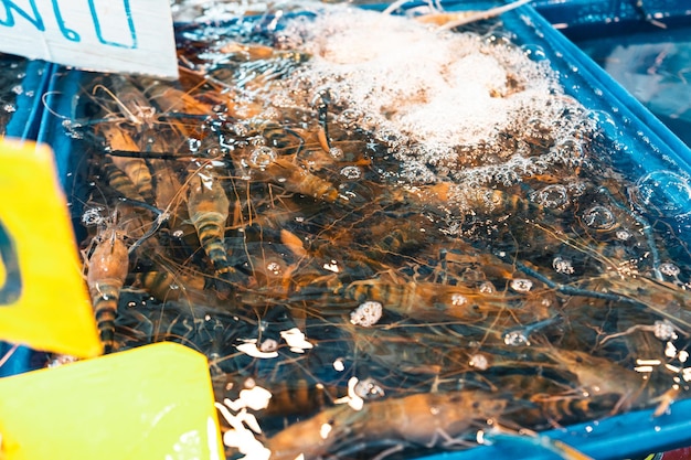 熱帯の海の近くの市場でのKrabiRawシーフードの魚市場