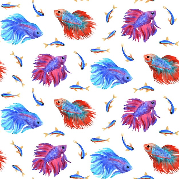 Fish pattern Beautiful multicolored fish Watercolor illustration for wrapping textile wallpaper