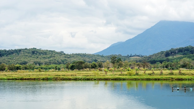 Fish pond in a countryside at Thailand