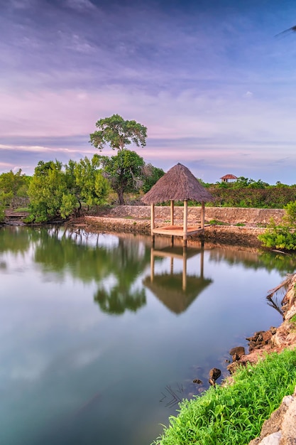 fish pond