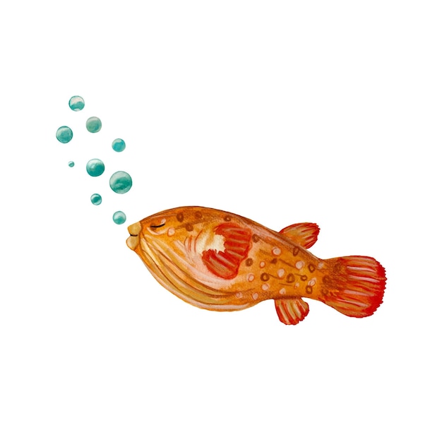 Fish red bubbles ocean organism sea sketch. A watercolor isolated illustration. Hand drawn.