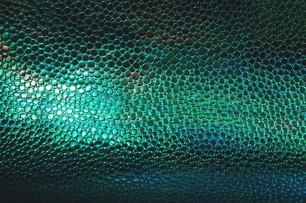 Photo fish or reptile scale dark moody background