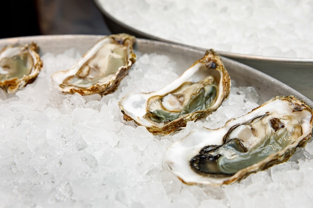 Photo fish restaurant. raw oysters on tray with ice.