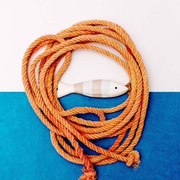 Fish and rope souvenir Minimal art design