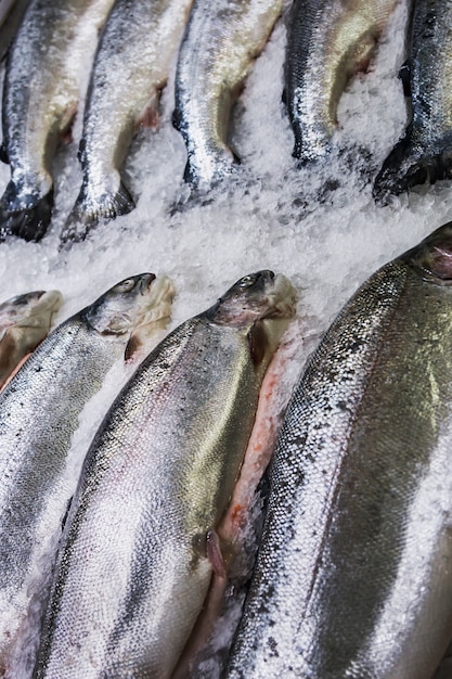 Fish sea salmon lie on the ice in the store or in the kitchen