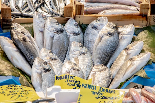 写真 魚、シーフード、魚販売