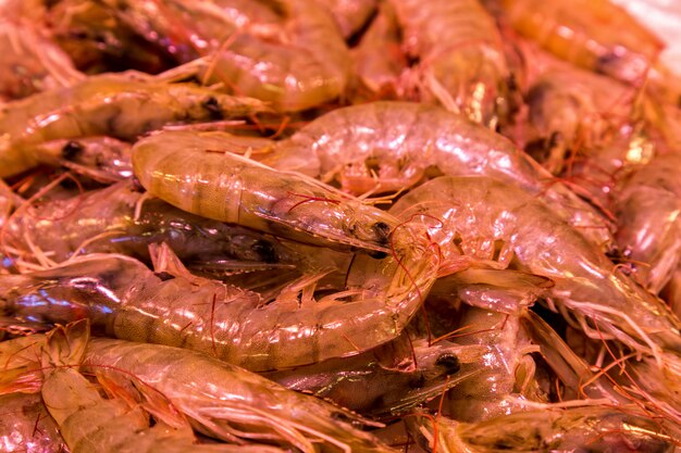 Photo fish and seafood market at the famous boqueria in barcelona of spain