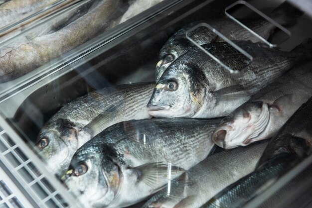 Fish and seafood stall in a market