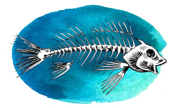 Photo fish skeleton handdrawn ink and watercolor sketch