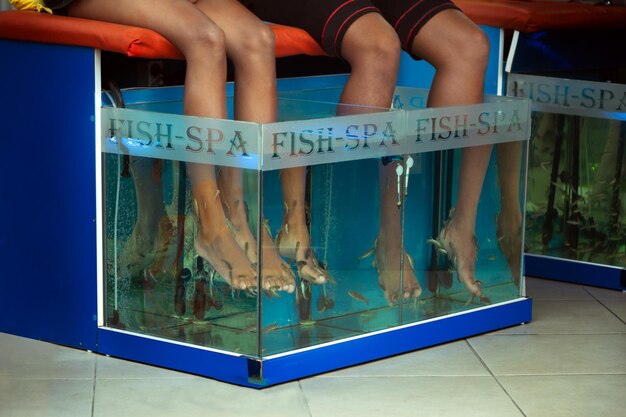 Fish spa