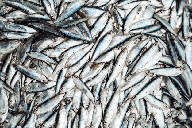 Fish sprats at the fish market. Fresh organic fish.