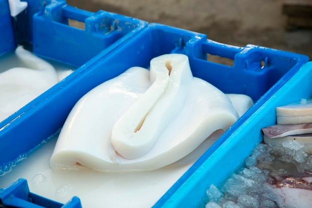 Fish stalls selling squid and cuttlefish at Sant Camilo food market in Arequipa Peru